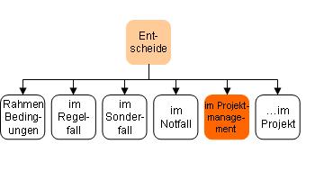 Entscheide im Projektmanagement