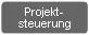 Projektsteuerung